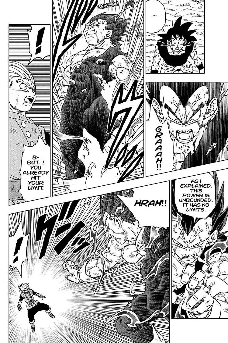 Dragon Ball Super Chapter 76 24